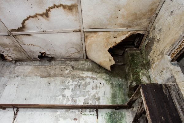 Water Damage Service in Amarillo