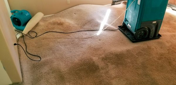 Carpet Water Extraction in Amarillo