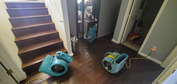Water Damage Remediation in Amarillo